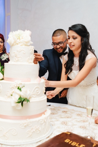 bride and groom cut their cake
